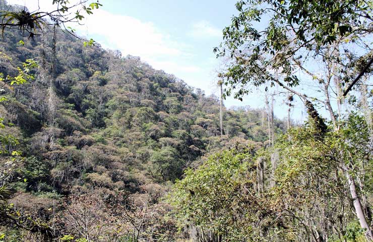 Reconocen áreas de conservación en comunidades de Ayavaca, Morropón y Huancabamba